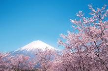 Азиатский тур