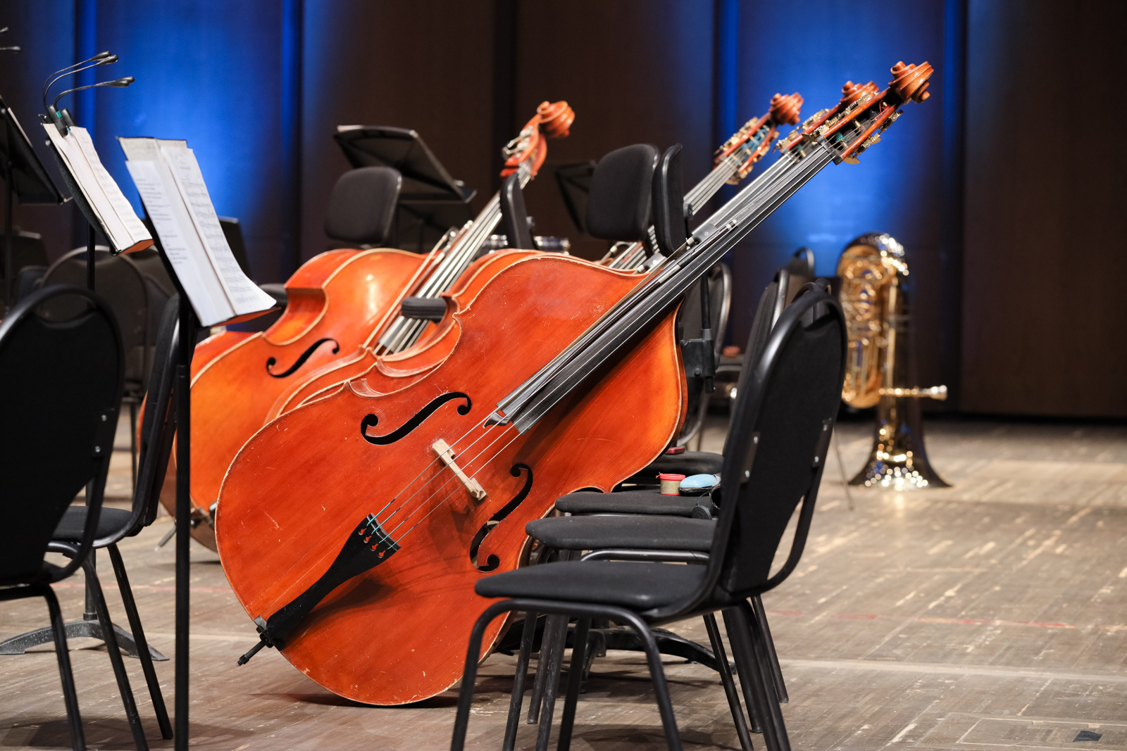 На концертах РНО