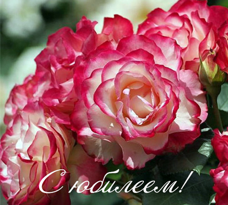 На концертах РНО