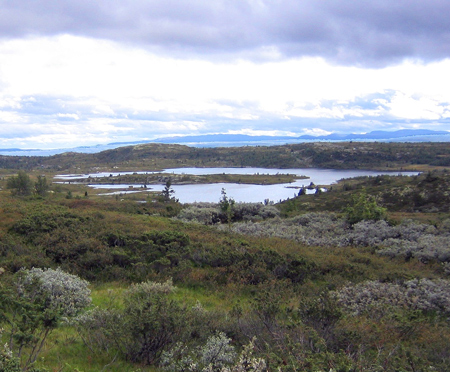 На концертах РНО (Peer Gynt Vegen)